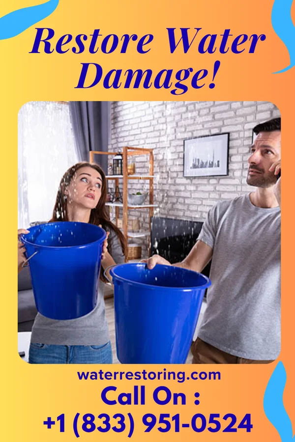 water restoration Total Water Solutions Co Linesville