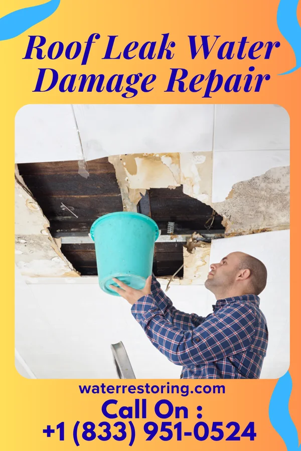 Roof Leak Water Damage Repair in Linesville, PA