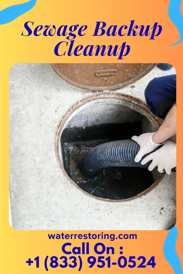 Sewage Backup Cleanup in Linesville, PA