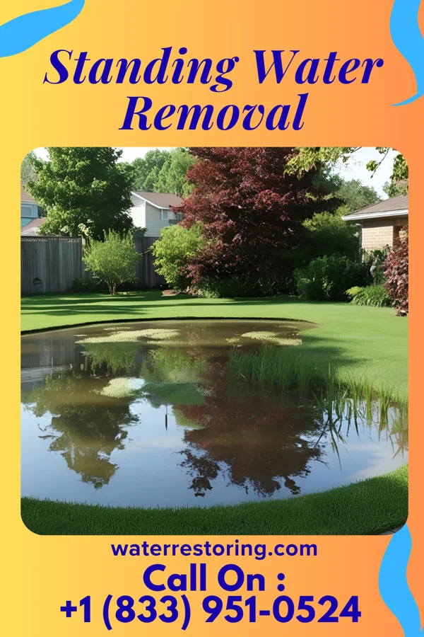 Standing Water Removal in Linesville, PA